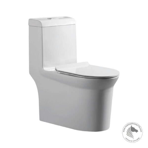 ABAGNO CALABRIA One Piece Washdown Water Closet