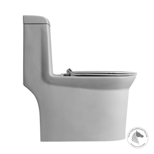 ABAGNO CALABRIA One Piece Washdown Water Closet - Image 3