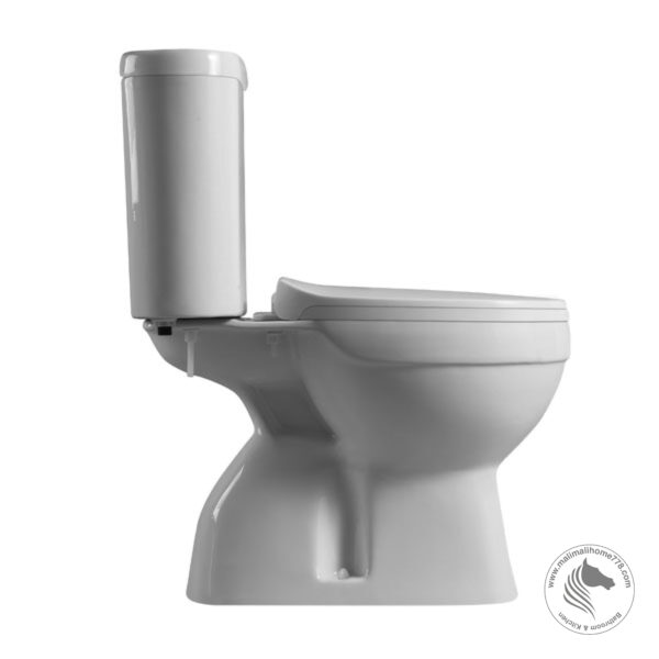 ABAGNO EMILIA II Close Couple Washdown Water Closet - Image 3