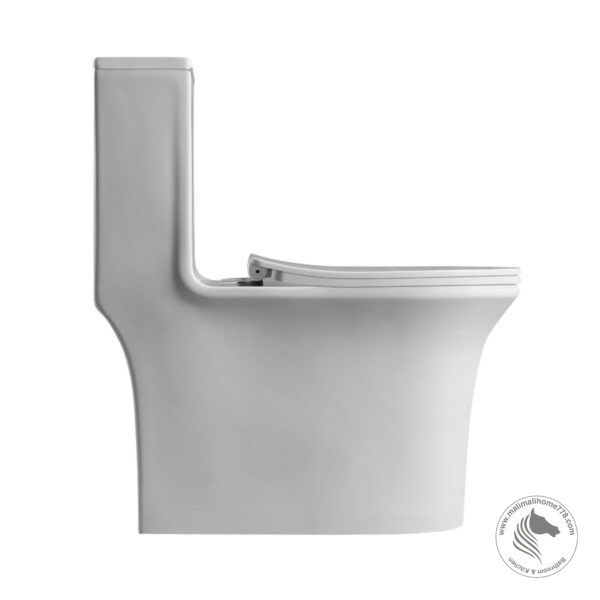 ABAGNO LAZIO One Piece Siphonic Water Closet - Image 3