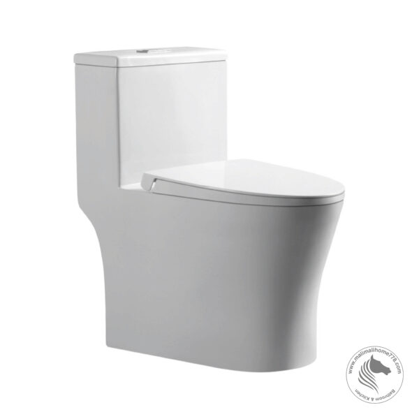 ABAGNO LIGURIA One Piece Washdown Water Closet