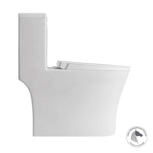 ABAGNO LIGURIA One Piece Washdown Water Closet - Image 3