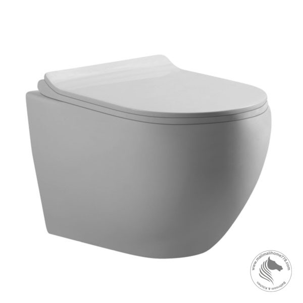 Abagno MOLISE WH Wall Hung Water Closet (Back Inlet)