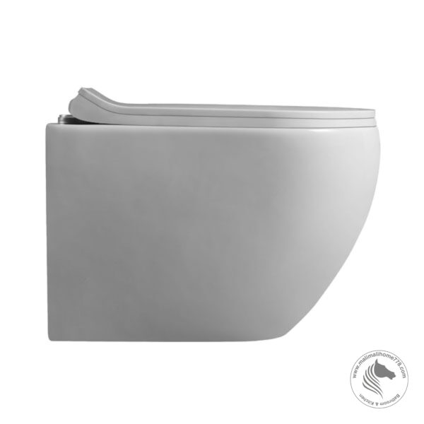 Abagno MOLISE WH Wall Hung Water Closet (Back Inlet) - Image 3