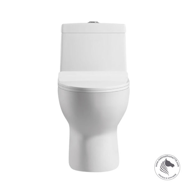 ABAGNO SICILIA One Piece Washdown Water Closet - Image 2