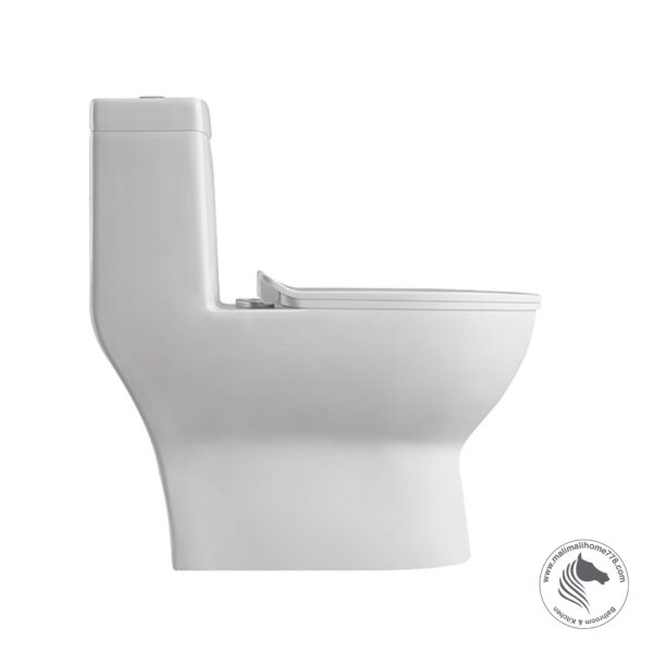 ABAGNO SICILIA One Piece Washdown Water Closet - Image 3