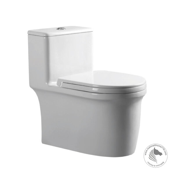 ABAGNO TRENTINO One Piece Siphonic Water Closet