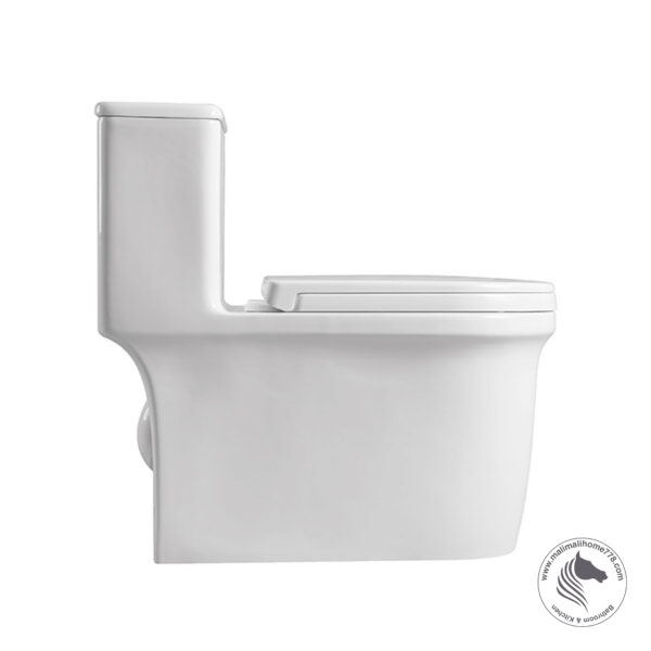 ABAGNO TRENTINO One Piece Siphonic Water Closet - Image 3