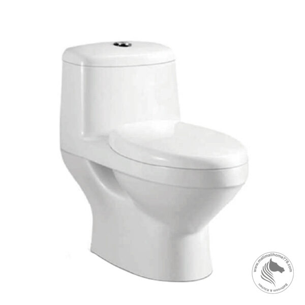 ESTILLO VASTO One Piece Washdown Water Closet