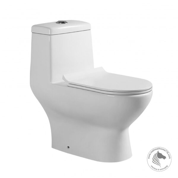 ESTILLO VENETTO One Piece Washdown Water Closet