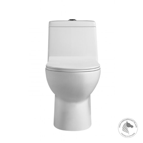 ESTILLO VENETTO One Piece Washdown Water Closet - Image 2