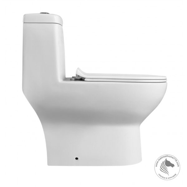 ESTILLO VENETTO One Piece Washdown Water Closet - Image 3