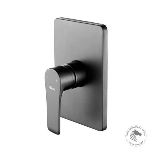 ABAGNO SVM-013-BN Single Lever Concealed Shower Mixer [Black Nickel]