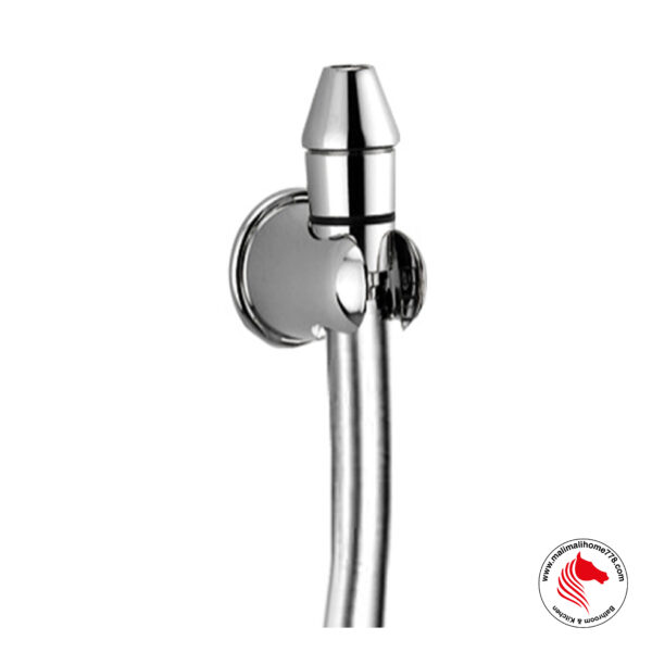 ABAGNO AR-100NZ-SV Hand Held Bidet Nozzel With PVC Silver Hose