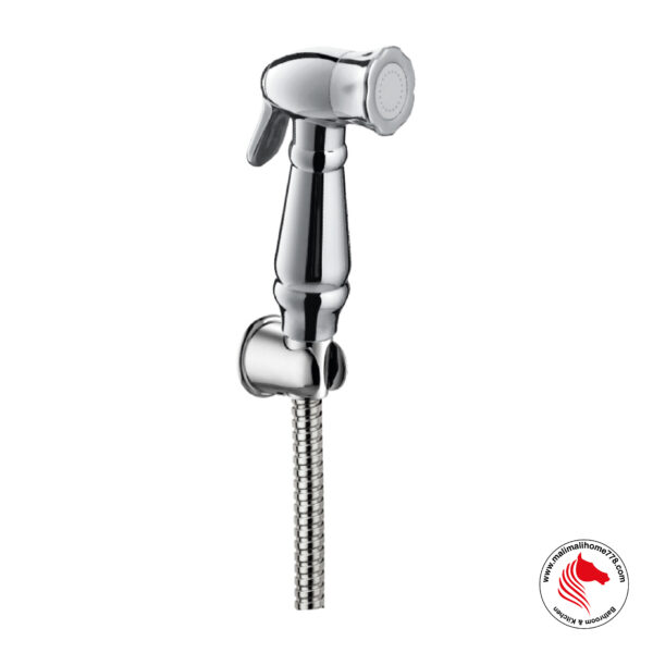 ABAGNO AR-161BS Hand Held Bidet Set