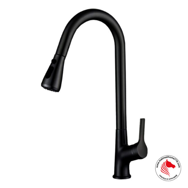 ABAGNO TIM-180P-MB Single Lever Kitchen Sink Mixer With Pull-out Sprayer [Matte Black]