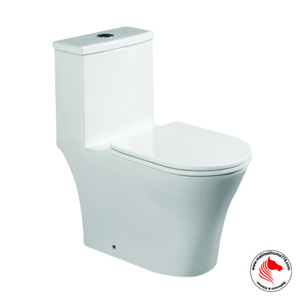 ABAGNO ADDA One Piece Rimless Washdown Water Closet