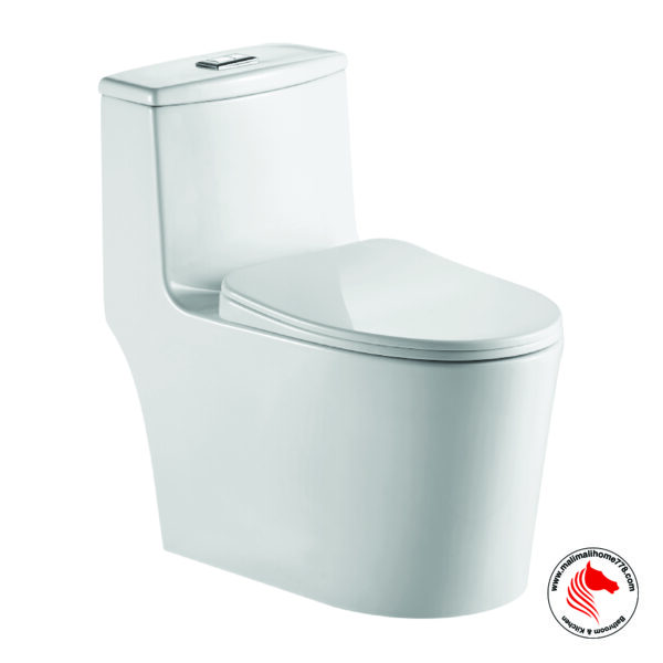ABAGNO BOLOGNA One Piece Rimless Washdown Water Closet