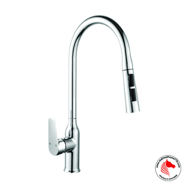 ABAGNO TEM-182P-CR Single Lever Kitchen Sink Mixer with Pull-out 3 Function Sprayer